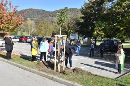 Rožnati oktober, zasaditev drevesa, 21.10. 2024 (10)